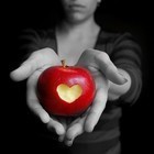 Picture for song 'I Did It For You' by artist 'ZeddBeats'