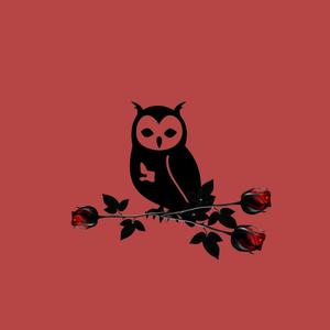 Picture for song 'Owl' by artist 'Zordag'