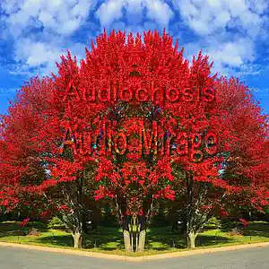 Picture for song 'Shamung Cheese Factory Tour' by artist 'AuDioChosis - Steven F. Allen - AuDio MiRage'