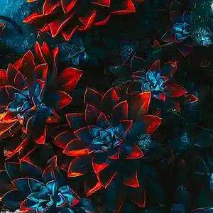 Picture for song 'Past (BUY 1 GET 1 FREE)' by artist 'Lil Light'