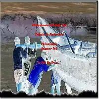 cover pic