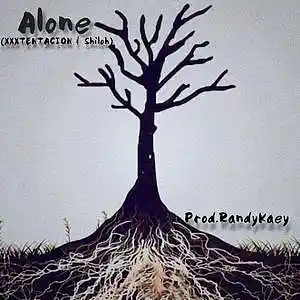Picture for song 'Alone(INSTRUMENTAL)' by artist 'Prod.RandyKaey'