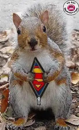 Picture for song 'old skool 3' by artist 'spoken arcane'