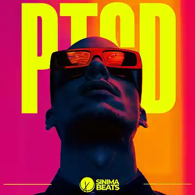 Picture for song 'PTSD' by artist 'SINIMA BEATS'