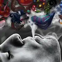 Picture for song 'DISPLAY YOURSELF' by artist 'SKINNER'S BOX'