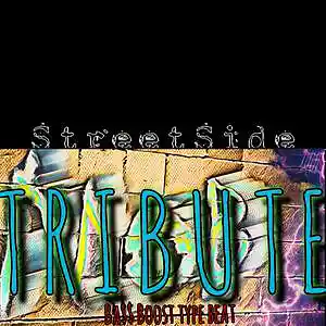 Picture for song 'Tribute' by artist 'StreetSide production's'