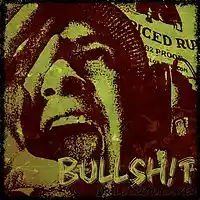 Picture for song 'Bull Shit' by artist 'Turtle Necromancer'