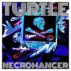 Picture for song 'It's a Trap' by artist 'Turtle Necromancer'