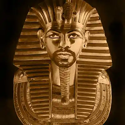 Picture for song 'ALL THE WAY (Organic (No Ai)' by artist 'WiseCoast'