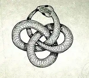 Picture for song 'loboso track 6' by artist 'BiteLikeSnake'