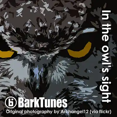 Picture for song 'In the owl's sight' by artist 'BarkTunes'
