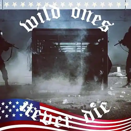 Picture for song 'Dark Sirens' by artist 'Distorted War Fox'