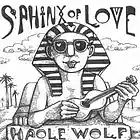 Picture for song 'Better Than Bob Dylan' by artist 'Haole Wolf'