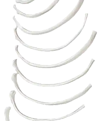 Picture for song '12 bones to pick' by artist 'JimRoss'