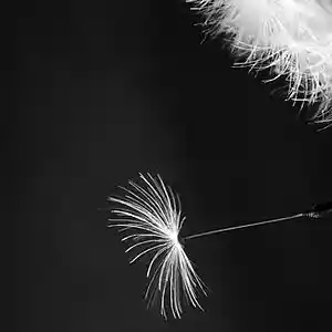 Picture for song 'Origin (Hip-Hop/Electronic)' by artist 'PaperlockBEATS'