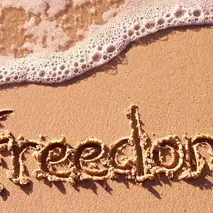 Picture for song 'FREEDOM 79.5 BPM' by artist 'SOULPHOENIX PRODUCTION Soul-G.i'