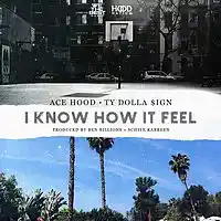 Picture for song 'I Know How It Feel BUY 1 GET 3 FREE *SALE*' by artist 'Swiss Frankie'