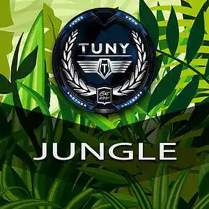 Picture for song 'Jungle' by artist 'Tuny Beats'