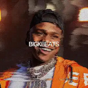 Picture for song 'animal' by artist 'BigKBeats'