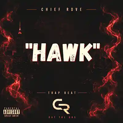 Picture for song 'Hawk' by artist 'chief rove'