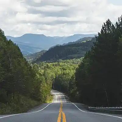 Picture for song 'Hendra - STINGS (Progressive House)' by artist 'Borez Beatz'