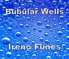 Picture for song 'Bubular Wells' by artist 'Ireno Funes'