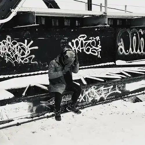 Artist picture