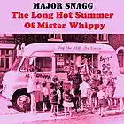 Picture for song 'The Long Hot Summer Of Mister Whippy' by artist 'Major Snagg'