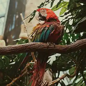 Picture for song 'ETRIER @ 135.5 BPM' by artist 'NAGGI VISION'