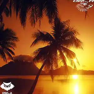 Picture for song '"Youth" Smooth Guitar Beat / Khalid Type Beat' by artist 'Owl.A'