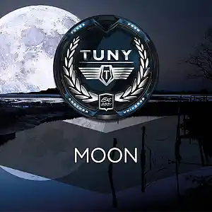 Picture for song 'Moon' by artist 'Tuny Beats'