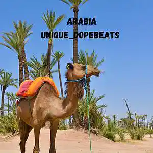 Picture for song 'Arabia 2021 Prod by (unique_dopebeats) (1)' by artist 'Udb Music Production's'
