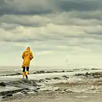 Picture for song 'Yellow Hat (Dykeman/Granger) 2:07' by artist 'Well Strung'