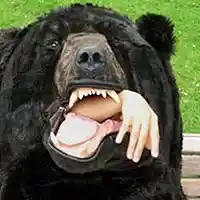 Picture for song 'DJ Luck - Belly Of The Beast' by artist 'DJ Luck94'