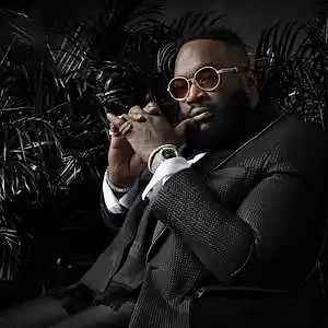 Picture for song 'BMF' by artist 'DL Boi'