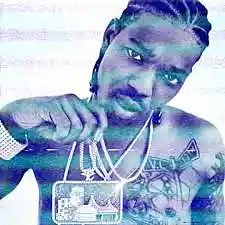 Picture for song 'Bg type beat i got em' by artist 'Dougie Fresh'