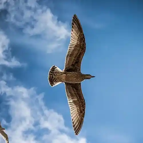 Picture for song '88' by artist 'Hovenbaby'