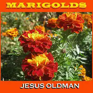 Picture for song 'MELISSA' by artist 'JESUS OLDMAN'