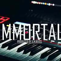 Picture for song '*PIANO* Immortal - FREE DL' by artist 'KMBeatsOfficial'
