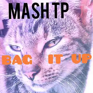 Picture for song 'BAG IT UP' by artist 'mashtponthebeat'