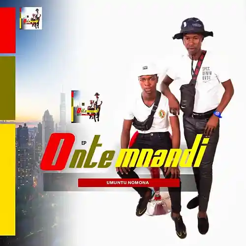 Picture for song 'Ngifuna Inkunzi Enamandla' by artist 'Ontemnandi'