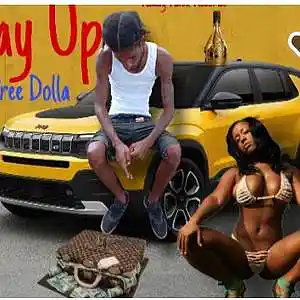 Picture for song 'PAY UP' by artist 'Pree Dolla'