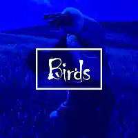 Picture for song 'Birds ' by artist '1KBEATS'
