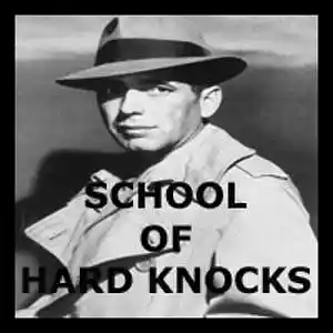 Picture for song 'SCHOOL OF HARD KNOCKS' by artist 'Freddy J'