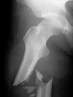 Picture for song '*Hard*Bone Crushing(Free D/L)' by artist 'JUICE PRODUCTIONS'