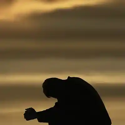 Song picture of 'They hear me crying'