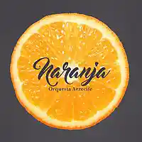 Picture for song 'La granja + Problemas' by artist 'Orquesta Arrecife'