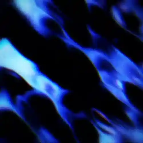 cover pic
