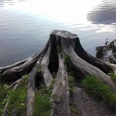 Picture for song 'The Dark City (2025 Remix)' by artist 'Restsound'