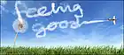 cover pic